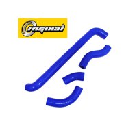 RG21213-1303000-SIL