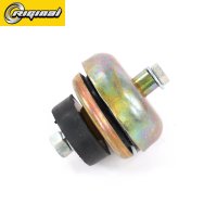 RG3307-1001067