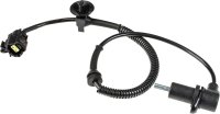 LECAR000241203