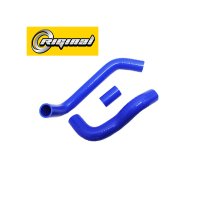 RG3163-1303000-SIL