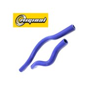 RG2111-8101000-SIL