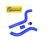 RG2108-1303000-SIL