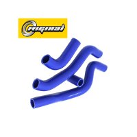 RG21082-1303000-SIL