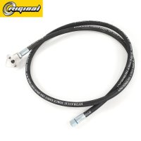 RG33081-3408198