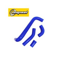 RG2105-1303000-SIL
