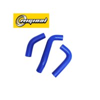 RG4216-1303000-3-SIL