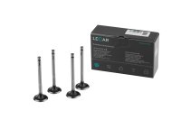 LECAR010010902_1
